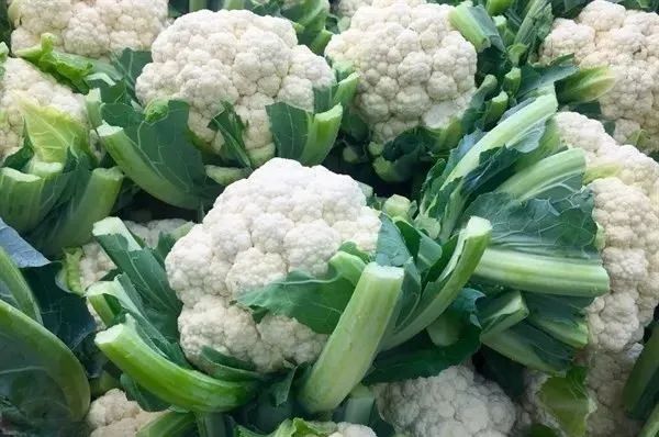 5月提醒大家：3種蔬菜渾身“堆滿”寄生蟲 寧愿不吃，也不去碰