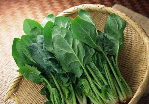 重慶生鮮配送公司教您如何保存蔬菜？
