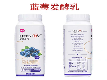 天友淳源高品發(fā)酵乳藍(lán)莓味250g